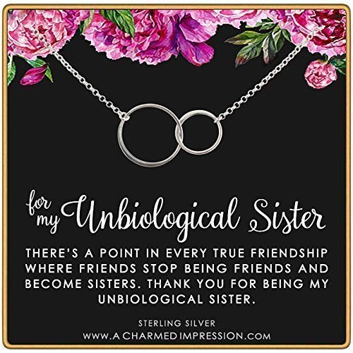 Best Friend Gifts for Women • Unbiological Sister • Silver Necklace • Christmas Gifts for Women • Stepsister Gifts • Love Friendship • Two Circles Necklace • Bonus Sister Necklaces for 2 3